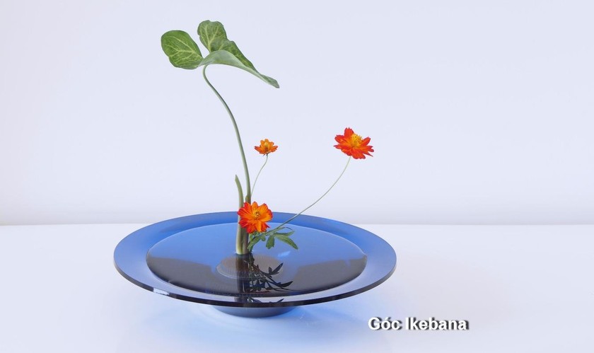 Cô gái mang nghệ thuật cắm hoa Ikebana về Việt Nam 