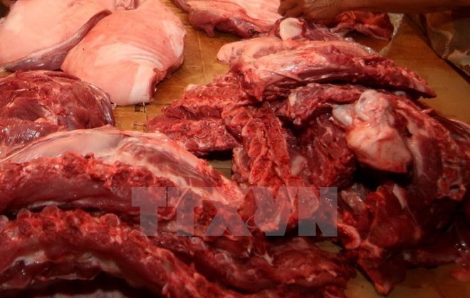 Chưa đủ cơ sở nhận định toàn bộ thịt ở 5 tỉnh phía Nam nhiễm E.coli