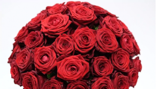 Quà Valentine siêu xa xỉ: Bó hoa 999 bông hồng có giá bằng chiếc Audi A3