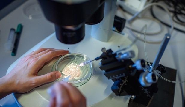 Thử nghiệm công nghệ chỉnh sửa gene trong điều trị ung thư