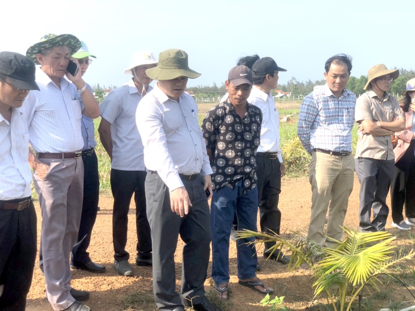 Dự án nông nghiệp tại xã Đức Minh nằm trong khu vực Cty Phát Đạt khảo sát, lập dự án.