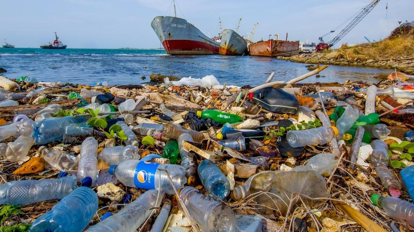 Rác thải nhựa là hiểm họa đối với môi trường biển.
