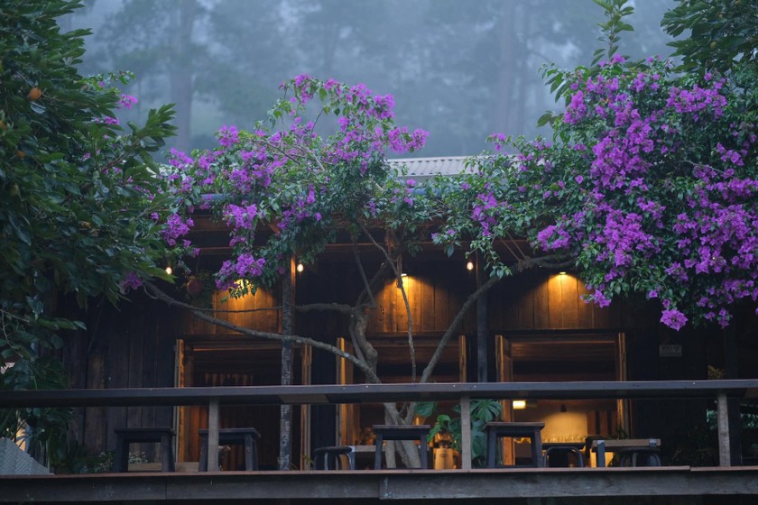 Ngôi nhà gỗ đẹp như cổ tích giữa hoa cỏ và mây trời ở Đà lạt