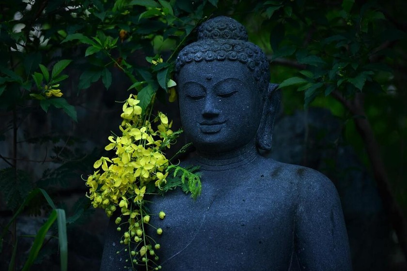 Đức Phật, một con người có tình yêu vĩ đại.