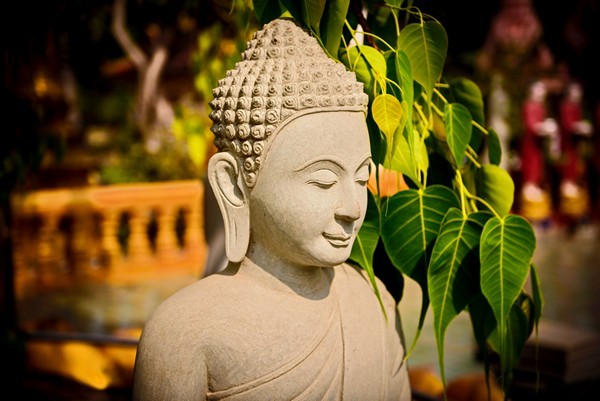 Đạo Phật hướng con người đến cái thánh thiện, biết tin sâu nhân quả