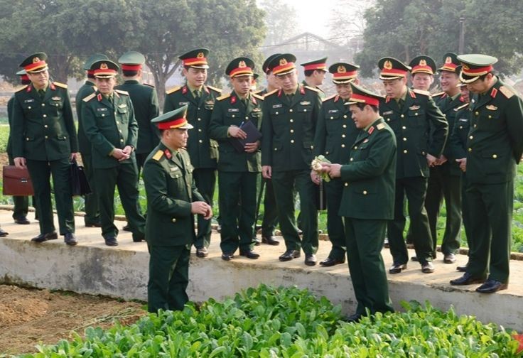 Thượng tướng Vũ Hải Sản kiểm tra vườn rau của đơn vị.