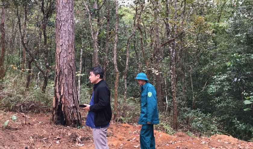 Lãnh đạo phường 4, TP Đà Lạt kiểm tra công tác phòng chống cháy rừng.