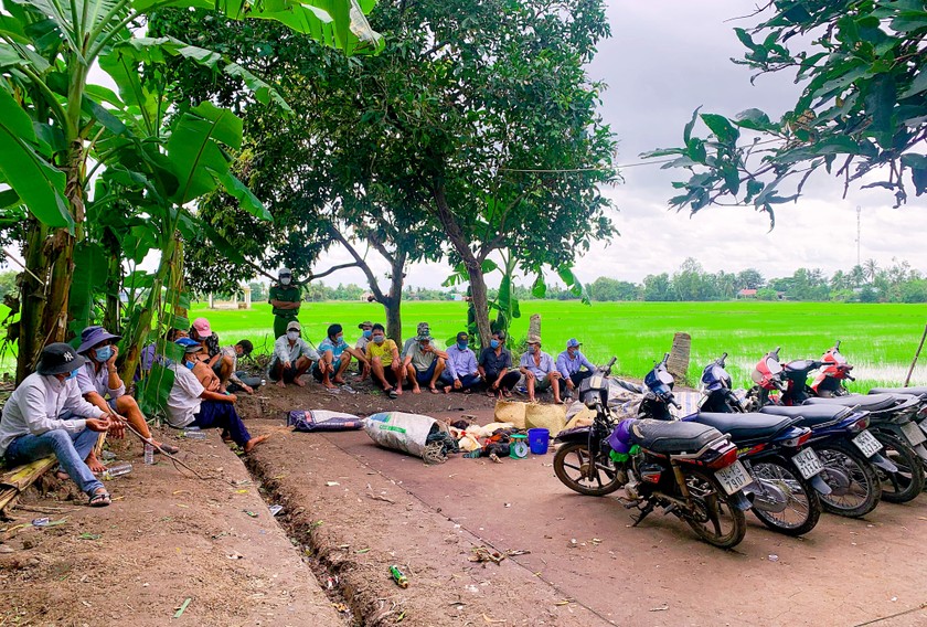 Nhóm đối tượng đá gà ăn tiền giữa cánh đồng xã Minh Diệu, huyện Hòa Bình bị công an bắt quả tang.