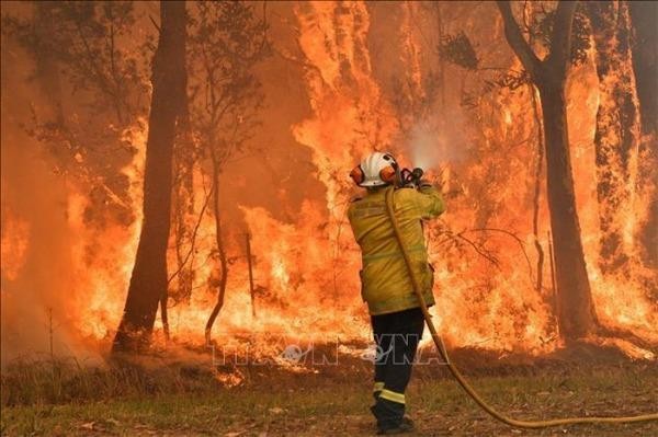 Hỏa hoạn, cháy rừng đang đe dọa sinh thái tại Australia