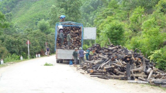 Xe tải “ăn” gỗ trên địa bàn thôn Đồng Bây, An Lạc
