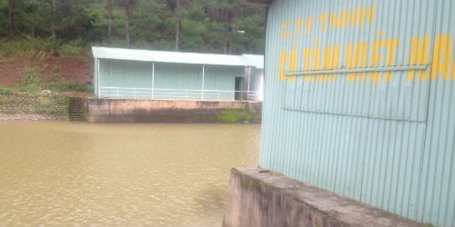 Trại cá của Công ty TNHH Cá Tầm Việt Nam chỉ được xây dựng tạm bợ trên kênh thủy lợi