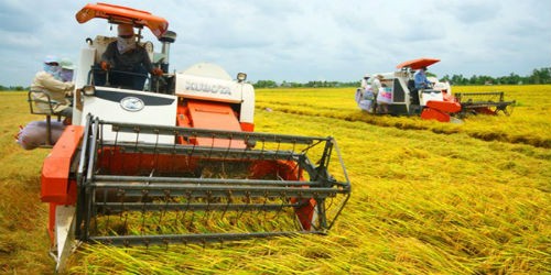 Máy nông nghiệp hàng Trung Quốc vẫn lấn át thị trường 