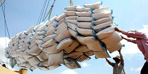 Thu mua xuất khẩu gạo là một trong những ngành nghề thuộc sở trường của Vinafood1