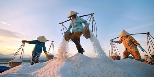 Mua tạm trữ muối có giúp diêm dân ổn định đời sống? Ảnh minh họa