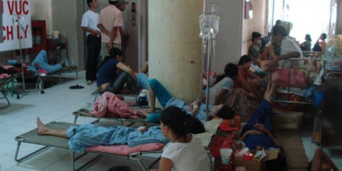 Bệnh nhân sốt xuất huyết điều trị tại Bệnh viện Bệnh Nhiệt đới Trung ương.