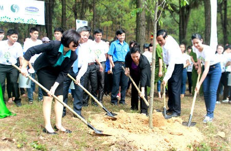 Quỹ 1 triệu cây xanh trồng cây tại Ngã ba Đồng Lộc