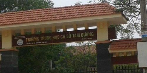 Trường THCS Tam Dương, huyện Tam Dương, tỉnh Vĩnh Phúc