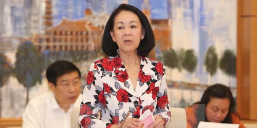 Bà Trương Thị Mai - Chủ nhiệm Ủy ban Các vấn đề xã hội của QH phát biểu tại phiên họp