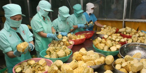 Trung Quốc vẫn là thị trường chính xuất khẩu nông-lâm-thủy sản của Việt Nam