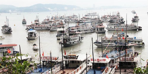 Các chủ tàu du lịch Quảng Ninh tố cáo bị thu tiền trái luật