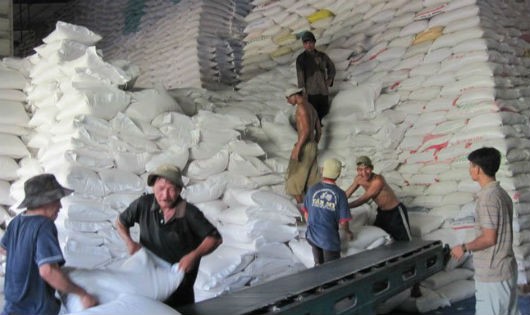 Kho chứa 4 triệu tấn chủ yếu làm chức năng trữ gạo cho doanh nghiệp thay vì trữ thóc cho nông dân?