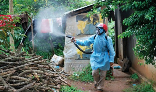 Ở Việt Nam, hóa chất Pyriproxyfen diệt ấu trùng muỗi đang bị nghi vấn có khả năng gây teo não ở trẻ chỉ được dùng để diệt ấu trùng muỗi trong các loại nước thải