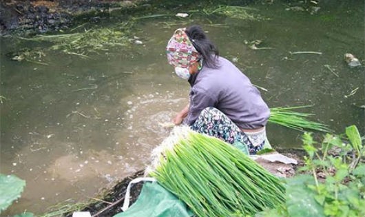 Cảnh người phụ nữ rửa rau bên kênh nước bẩn