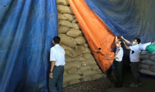 Đại diện thi hành án TP HCM kiểm tra lô hàng 1000 tấn hạt điều đang bị nấm mốc có nguy cơ sụp đổ tại kho của Cường Thịnh Phát