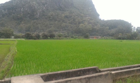 Huyện Kim Bảng (Hà Nam): Kho xăng về làng, dân “khóc ròng” vì mất đất lúa