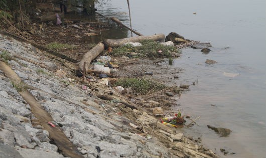 Rất nhiều rác thải mắc kẹt hai bên bờ sông, trong đó có cả xác động vật