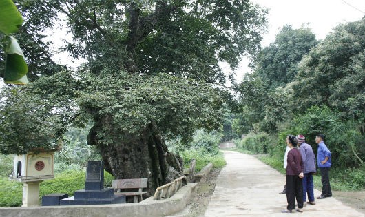 Với người dân thôn Hữu Khánh, hai “đại lão mộc” là một phần gắn kết tình làng, nghĩa xóm