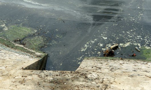 Có tới hơn 70% ao, hồ trên địa bàn Hà Nội bị ô nhiễm, trong đó có hồ ô nhiễm nghiêm trọng