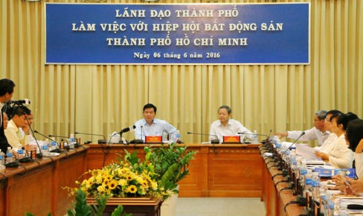 Bí thư Thành ủy TP HCM Đinh La Thăng tại buổi làm việc với Hiệp hội Bất động sản