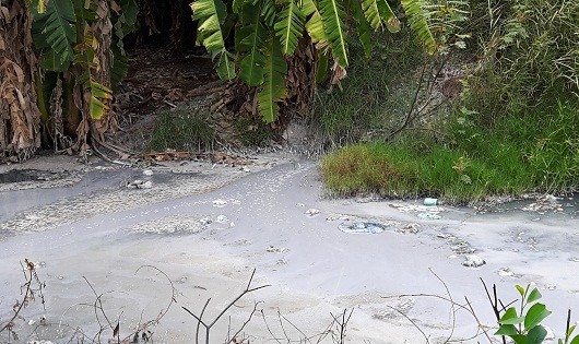 Nước trắng xóa thải trực tiếp ra môi trường ở khu đất ông La Chia