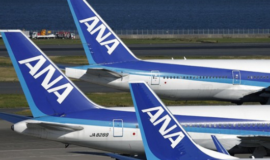 Tập đoàn ANA đang sở hữu một trong những hãng hàng không có chất lượng dịch vụ hàng đầu khu vực và thế giới
