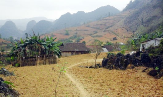 Những ngôi nhà người Dao đỏ ở bản Lũng Chang xã Thái Học