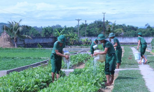 Chiến sỹ  Tiểu đoàn 25 chăm sóc, tưới nước cho vườn rau cải
