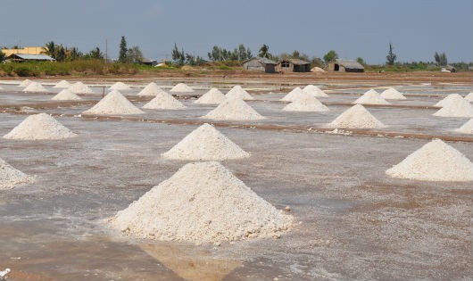 Hàng năm, sản lượng muối thương phẩm Bạc Liêu cung ứng ra thị trường lên tới trên dưới 250 ngàn tấn