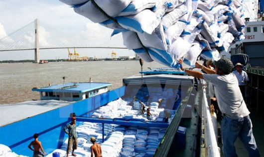 Bốc xếp gạo xuất khẩu tại cảng Sài Gòn