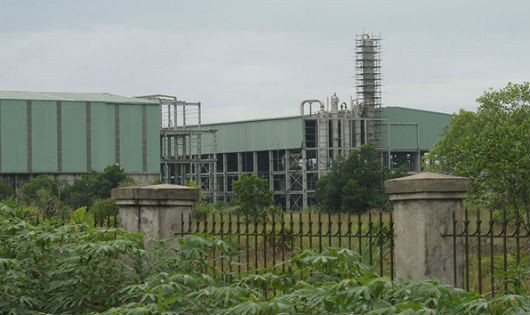 Dự án nhà máy Ethanol tại Tam Nông (Phú Thọ) để cỏ mọc hoang