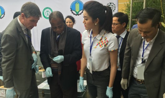 Đại diện tổ chức quốc tế quan sát việc tiêu hủy sừng tê giác và ngà voi vừa được Việt Nam tổ chức