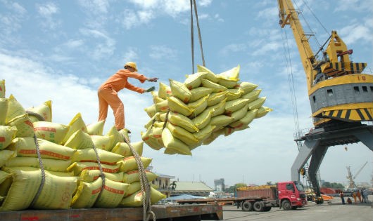 Quá tập trung vào thị trường bình dân lâu nay, gạo Việt Nam vẫn khó đi tới bàn ăn của các gia đình Mỹ