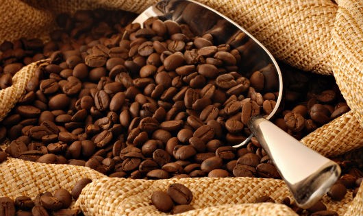 Ngành hàng cà phê có mô hình hợp tác PPP hiệu quả nhất trong lĩnh vực nông nghiệp