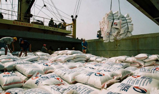 Khối lượng gạo xuất khẩu của Việt Nam trong 11 tháng năm 2016 ước đạt 4,54 triệu tấn