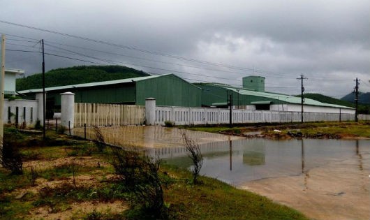 Quá trình hoạt động thử nghiệm, Nhà máy sản xuất viên nén gỗ của Công ty NLSH Vân Canh xả nước thải trực tiếp ra ngoài, ảnh hưởng môi trường xung quanh