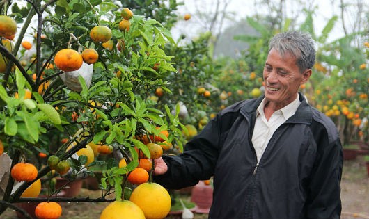 Người “phù phép” cho cây có 10 loại quả