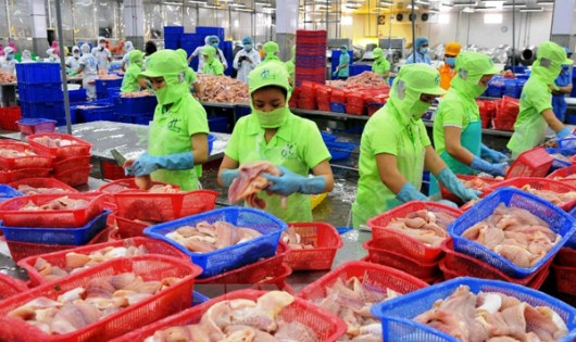 Không có biện pháp kiểm soát tình trạng lạm dụng kháng sinh và thuốc thú y trong chăn nuôi, nuôi trồng thủy sản nhiều mặt hàng XK chủ lực của Việt Nam sẽ mất dần thị trường