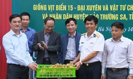 Bộ đội Hải quân nhận 2.000 con vịt do Viện Chăn nuôi tặng