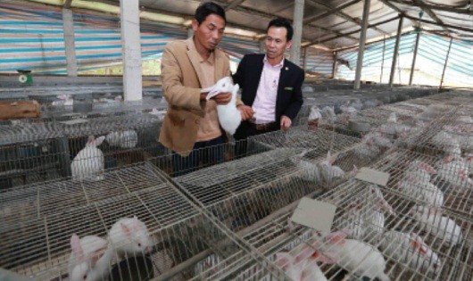 Thái Nguyên: Vốn chính sách chung tay xây dựng nông thôn mới