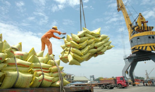 LQH sẽ loại bỏ quy hoạch sản phẩm như quy hoạch thương nhân xuất khẩu gạo… Ảnh minh họa